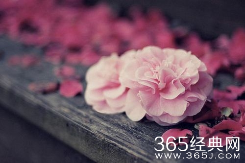 经典语录_20条经典人生感悟_365经典网