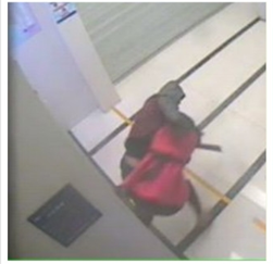 女汉子16秒夺刀吓跑抢匪