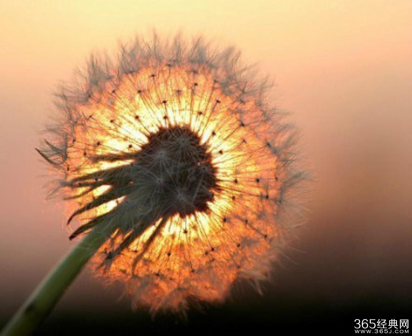 励志文章_穷是极地_365经典网