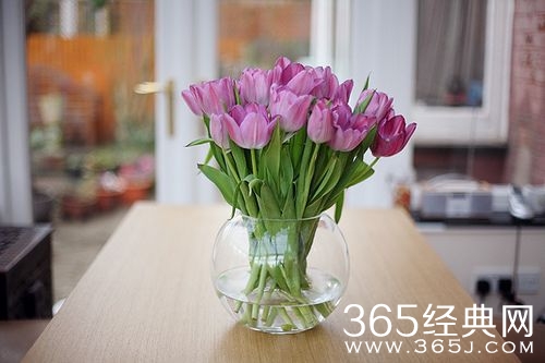 经典语录_20条经典人生感悟_365经典网