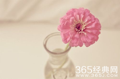 经典语录_20条经典人生感悟_365经典网