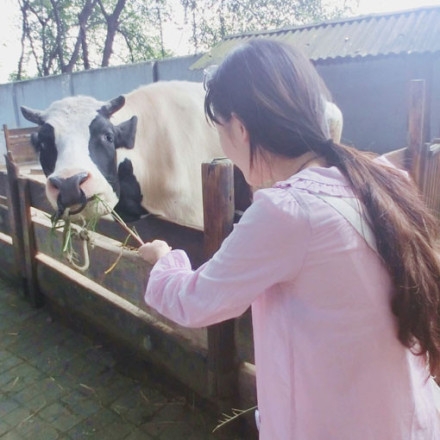 女孩子在恋爱中的战略