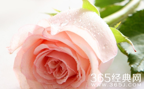 如果你真心喜欢一个人，请不要再沉默图片