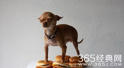 最新搞笑qq签名大全