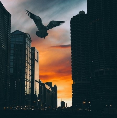 90后萌妹子用iPhone6做出超逼真末日景象(图)