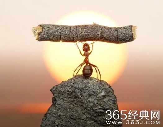 薪水背后的意义图片