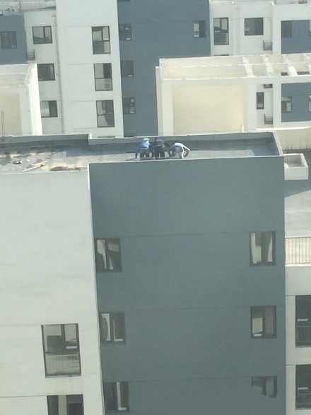 熊孩子26层楼顶拜把子