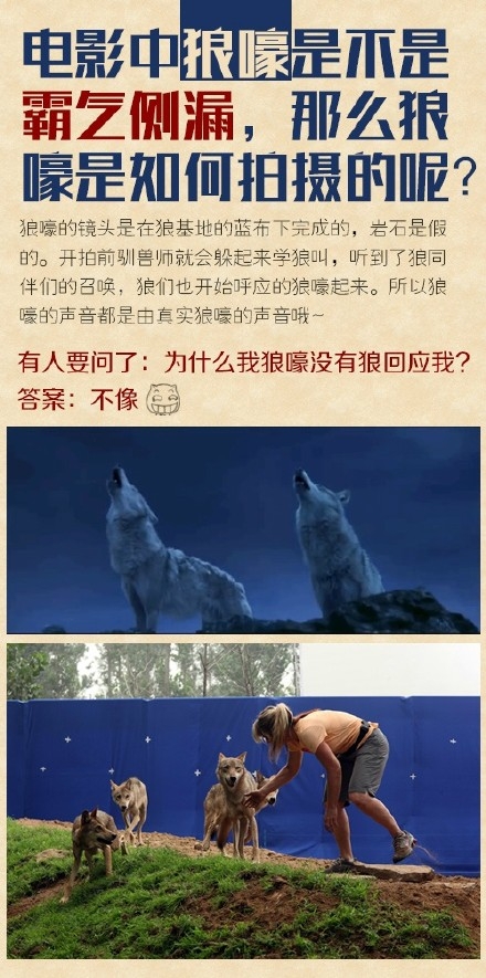 冯绍峰主演电影《狼图腾》影评