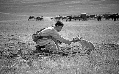 蒙古族专家吐槽狼图腾_真实草原上狼没有电影里那么神圣_365经典网