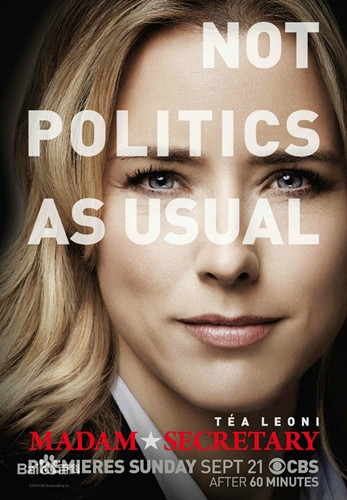 美剧国务卿夫人剧情介绍(1-22集,大结局)图片