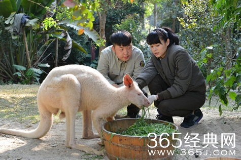 《奇妙的朋友》下期预告