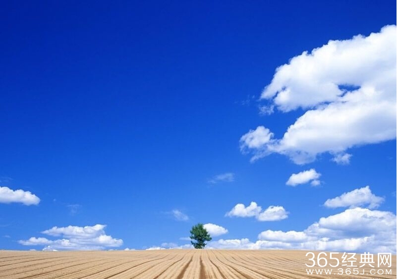 对自己狠一点，离成功近一点