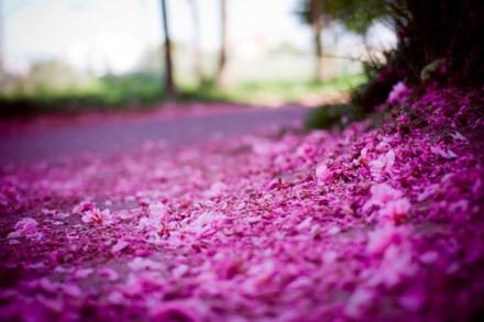 12星座元宵节祝福短信_12星座元宵节的传说前所未闻_365经典网