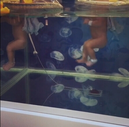 范玮琪黑人双胞胎儿子游泳照曝光 网友：说好的马赛克呢