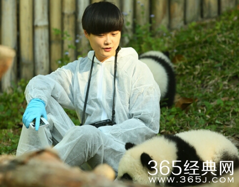 《奇妙的朋友》春哥被打脸