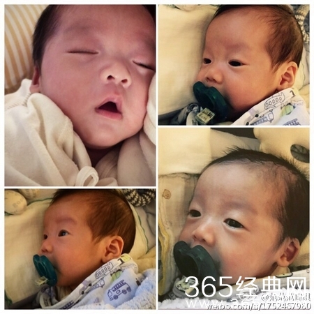 范玮琪黑人双胞胎儿子游泳照曝光 网友：说好的马赛克呢