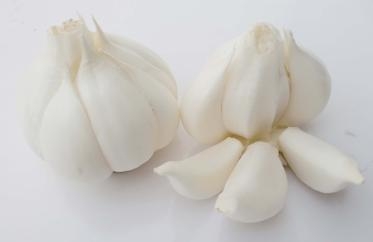 八仙过海各显神通_癌症免死金牌介绍_365经典网