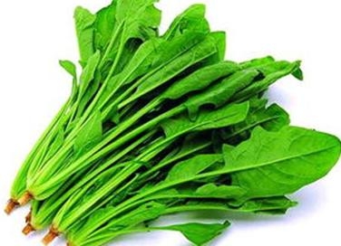 八仙过海各显神通_癌症免死金牌介绍_365经典网