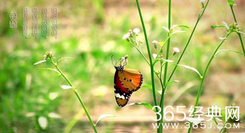 惊蛰节气养生方法_惊蛰在每年的什么时候_365经典网