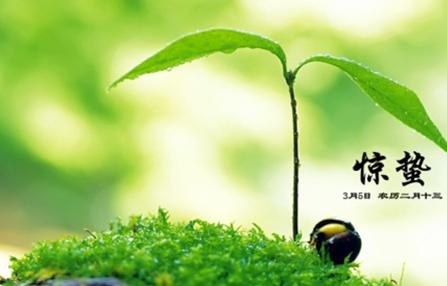 惊蛰节气养生方法_惊蛰在每年的什么时候_365经典网