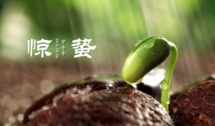 惊蛰节气养生方法_惊蛰在每年的什么时候_365经典网