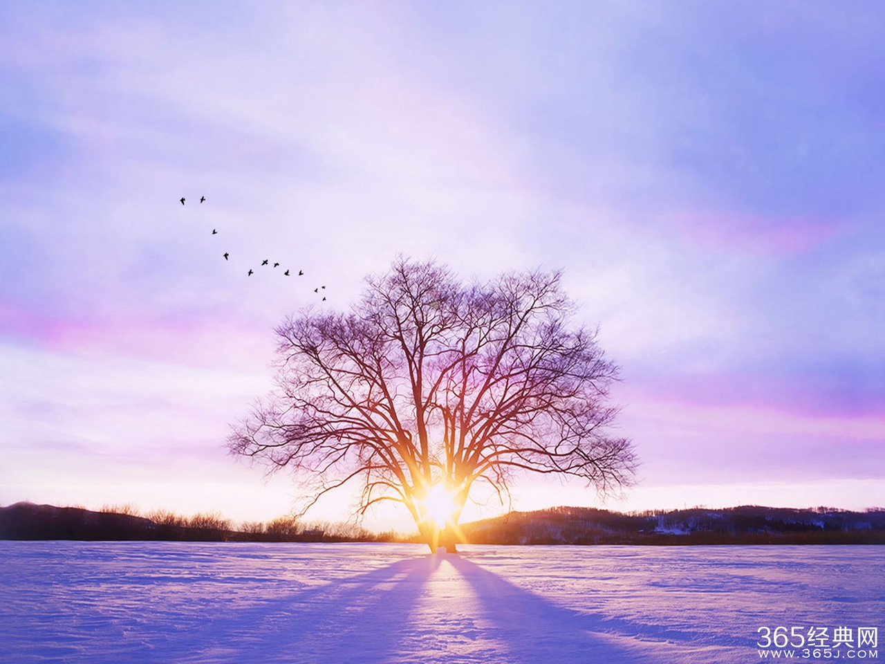 全国密切关注空气质量_全国平均气温-2.3℃为显著的暖冬年份_365经典网