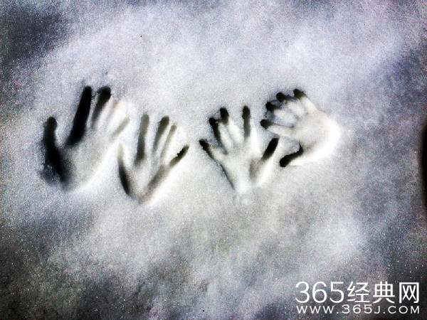 弯下腰，只为一个昂起头的机会