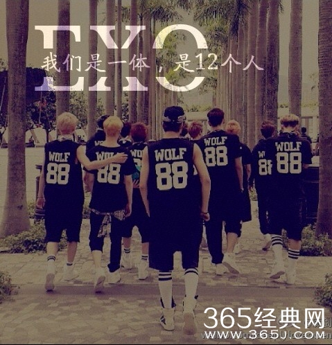 EXO成员流泪致谢EXO-L_只是想说谢谢你们_365经典网