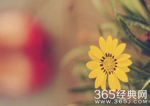 值得收藏的经典励志语录