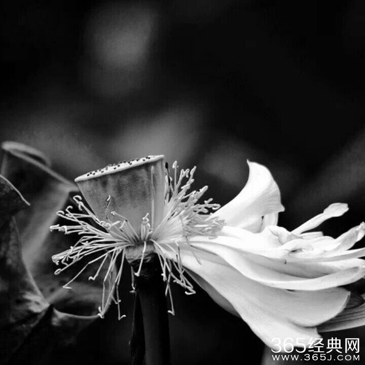 上帝是个微波炉