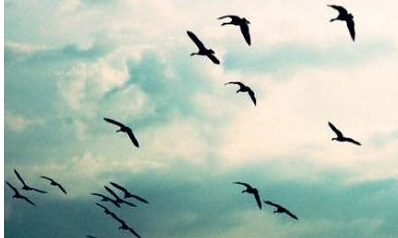 我为什么要努力