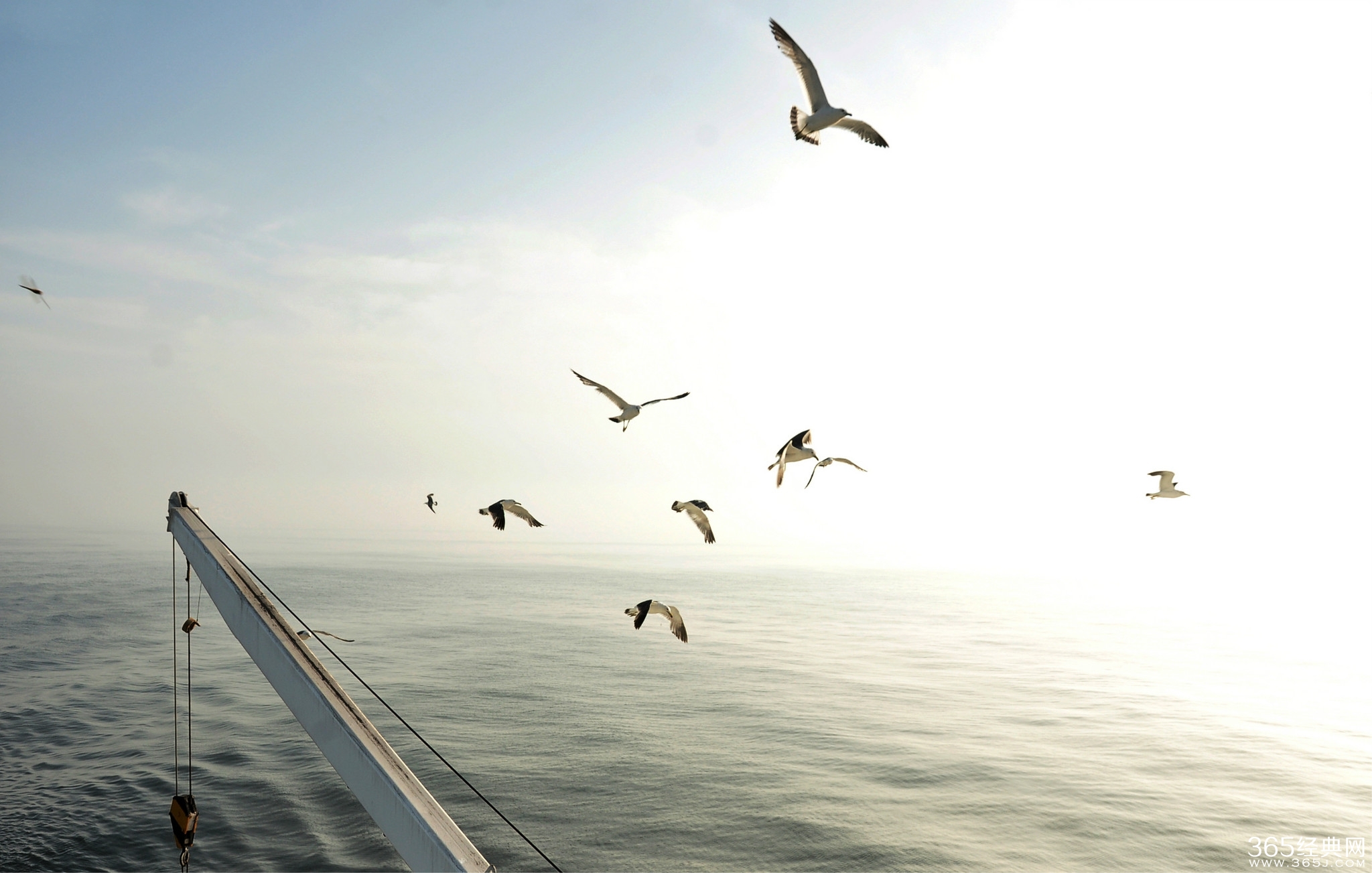 一句说走就走的说说