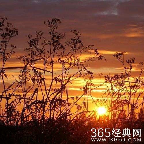 最穷无非讨饭，不死终会出头