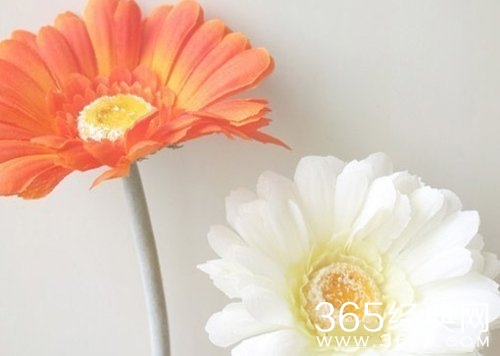 相爱，相争，但不相分。