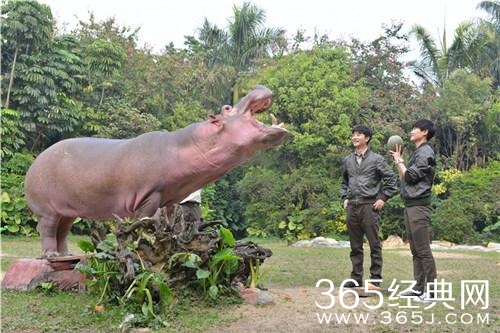 《奇妙的朋友》黄轩李宇春做红娘 