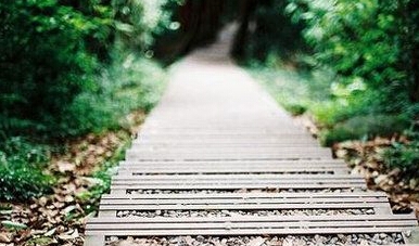 我从来不信这世间会无路可走