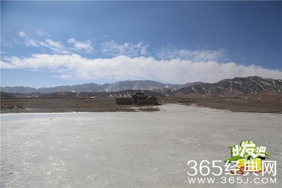 《出发吧爱情》什么时候播出