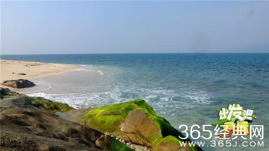 《出发吧爱情》什么时候播出