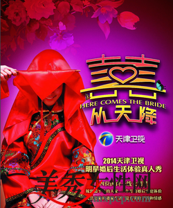 囍从天降有哪些明星 囍从天降什么时候播及内容介绍