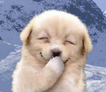  整条街的智商都被你拉低了