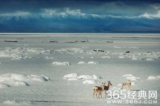 西藏：一个充满了神圣和神秘感的地方