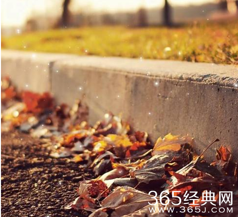 一个无需解释的故事