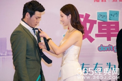 电视剧《致单身男女》什么时候上映 演员表介绍图片