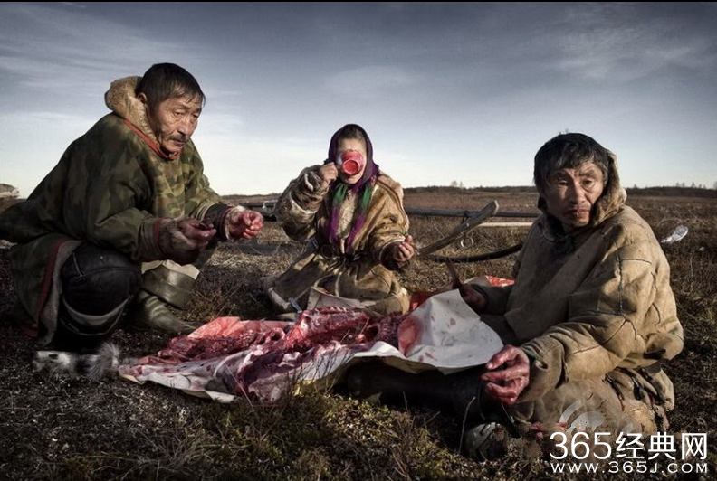 俄罗斯涅涅茨人为什么吃生肉_涅涅茨人小孩吃生肉能消化吗_365经典网