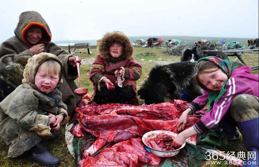 俄罗斯涅涅茨人为什么吃生肉_涅涅茨人小孩吃生肉能消化吗_365经典网