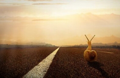 每天让自己 进步一点点