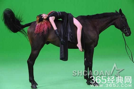 袁咏琳拍《刺猬的拥抱》MV双腿夹马 马竟起了生理反应