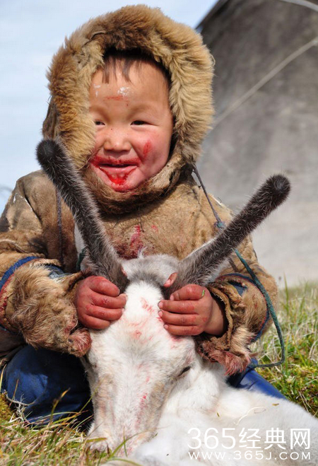 俄罗斯涅涅茨人为什么吃生肉_涅涅茨人小孩吃生肉能消化吗_365经典网