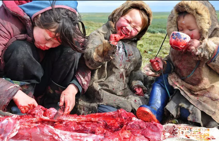 俄罗斯涅涅茨人为什么吃生肉_涅涅茨人小孩吃生肉能消化吗_365经典网