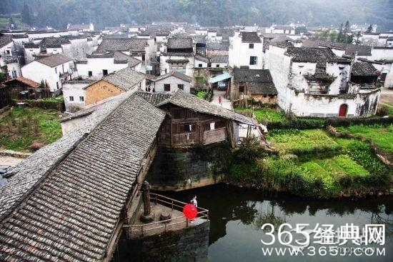 游玩江南小镇 花和景都可兼得